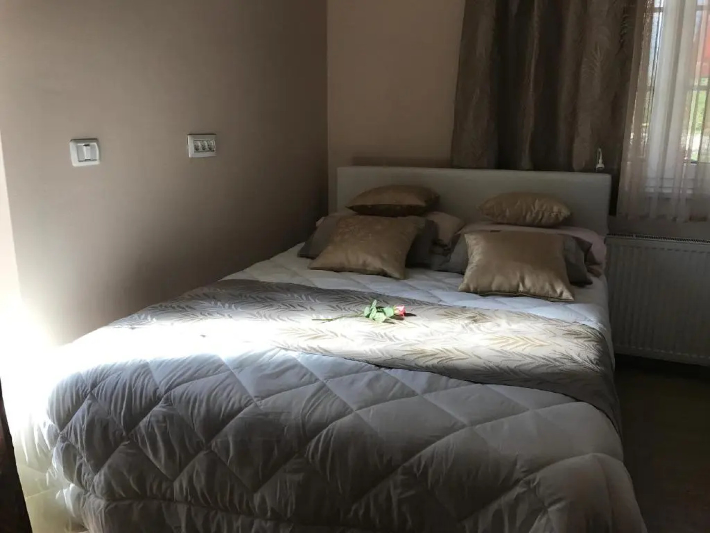 Linden Garden Apartment