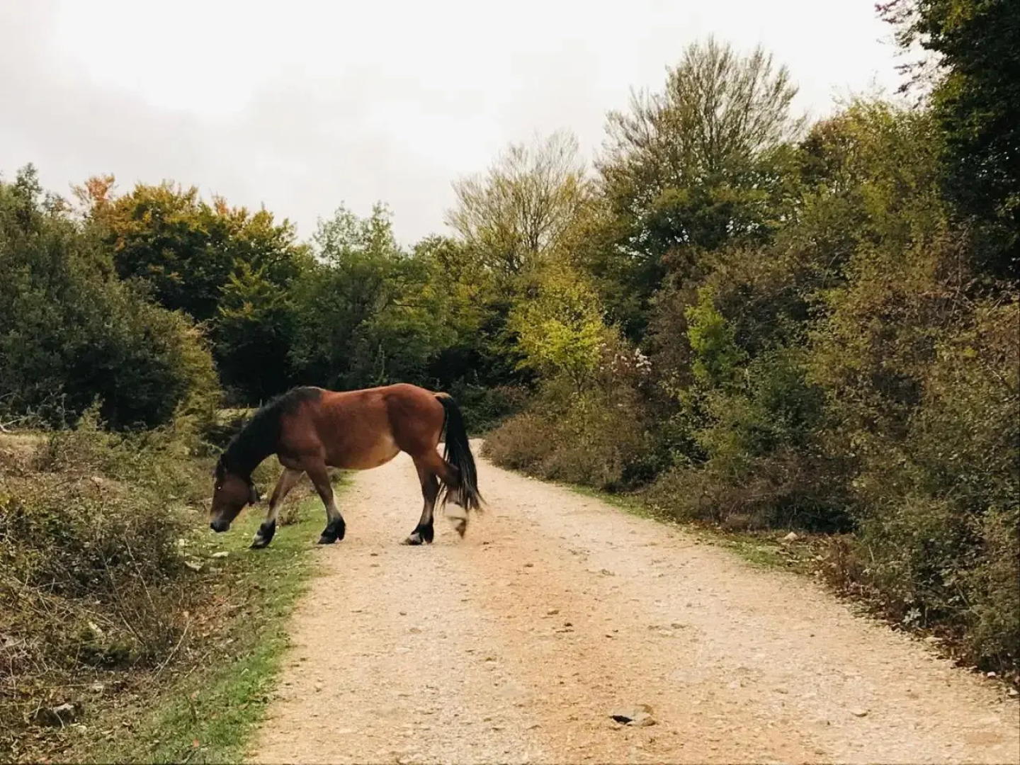 Hotel Rural Teodosio de Goñi