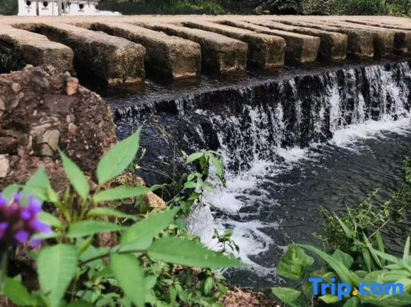 Zizai Pingjiang Wild Luxury Resort