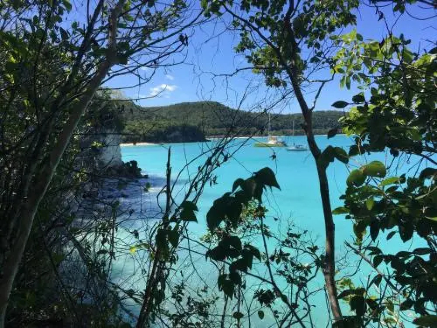 Villas Coccoloba & Jacaranda