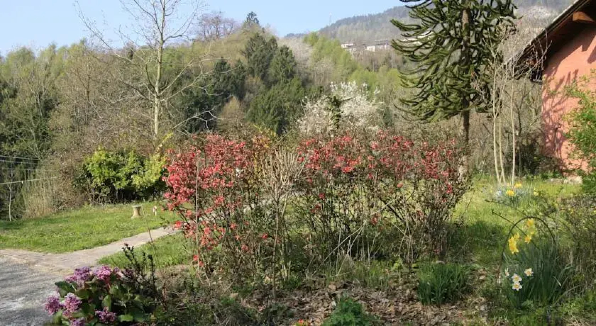 Bed and Breakfast Casa Rossa