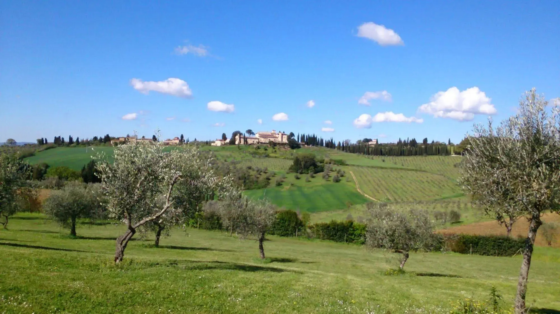 Castello Del Nero - Podere San Filippo