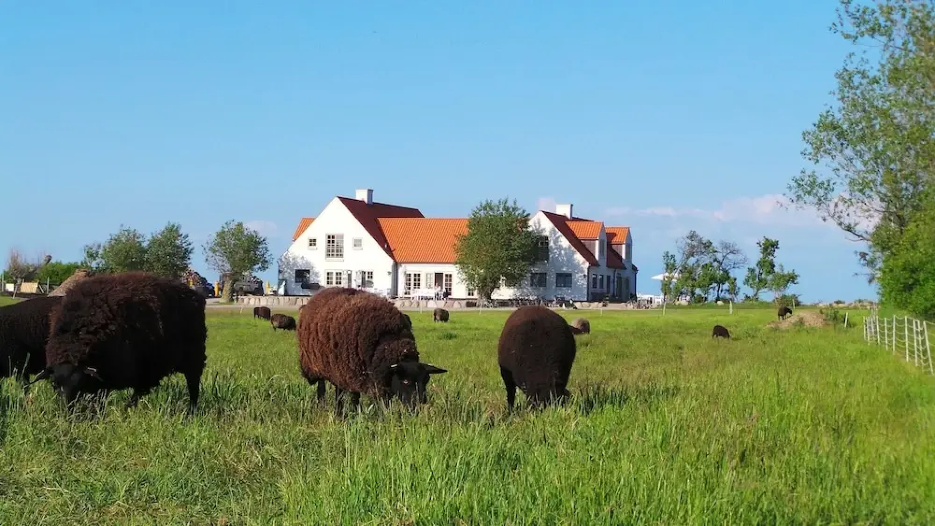 Vejrø Resort