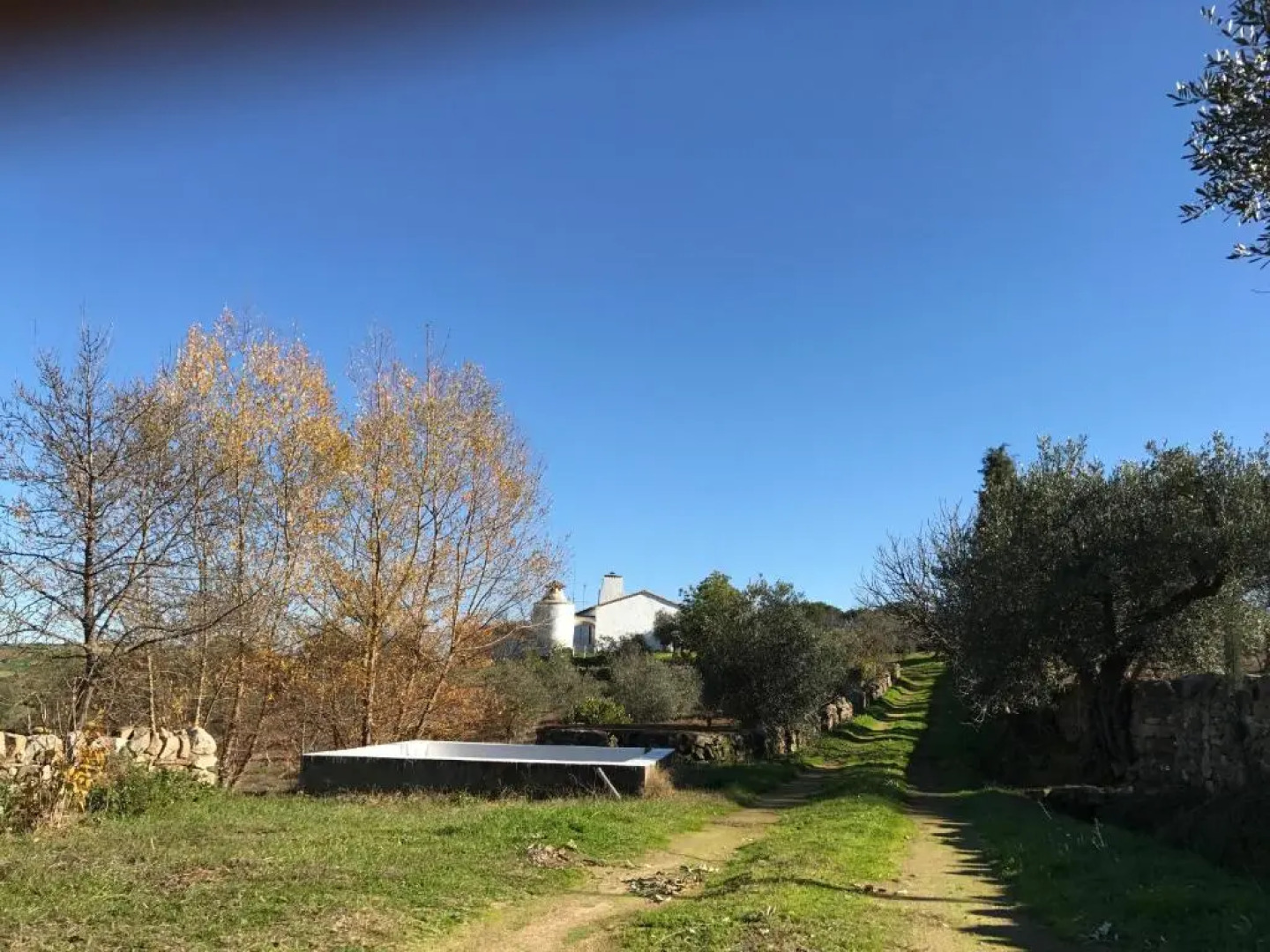 Cortijo Viña del Duco