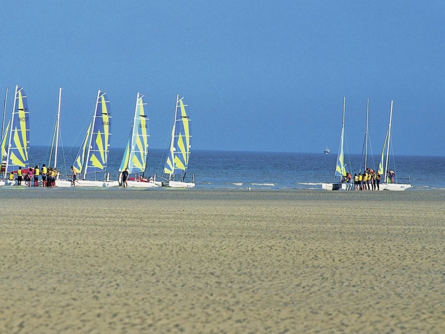 Comfortable House With Dishwasher, Located in Nature Reserve