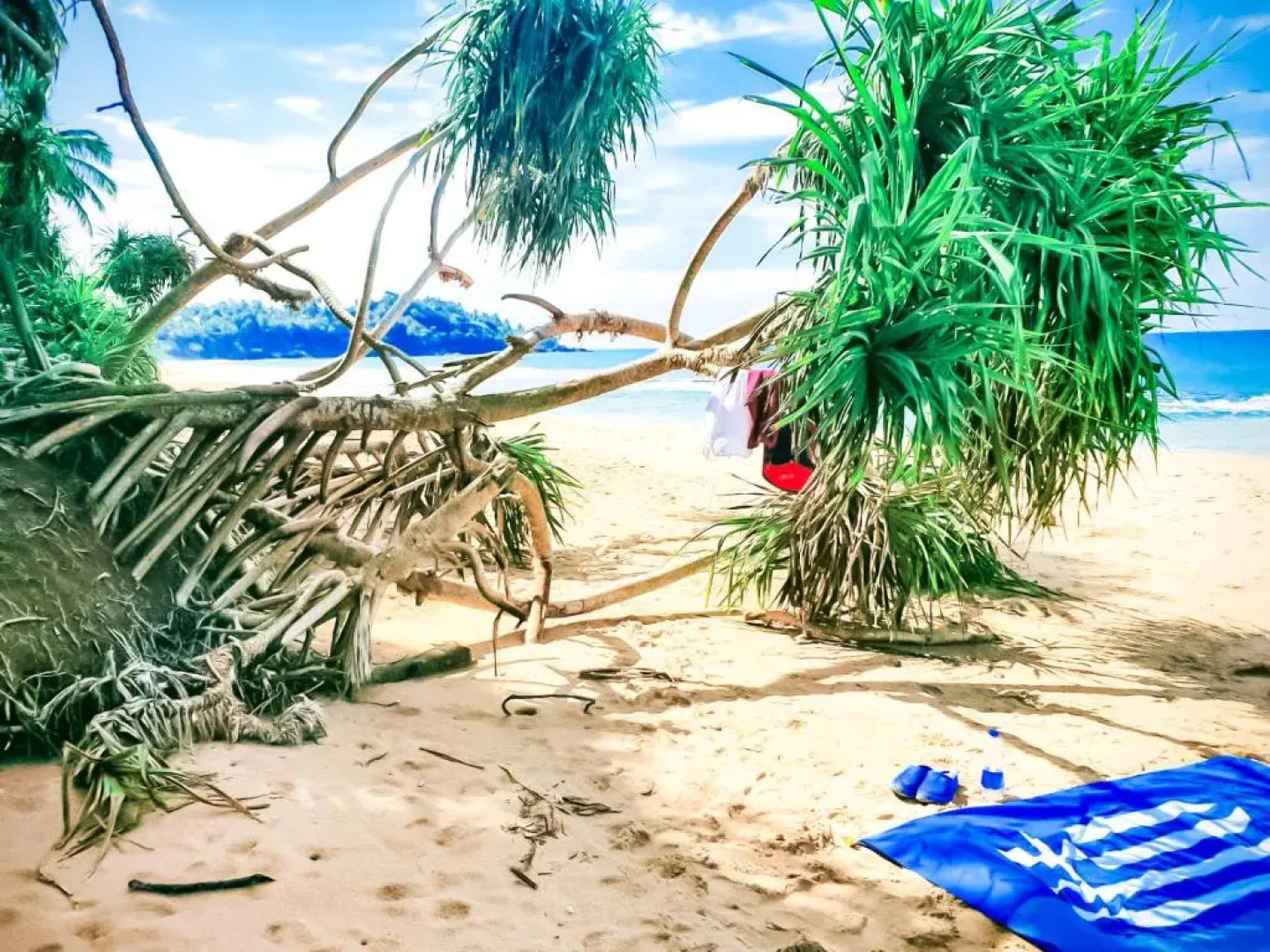 Paradise Ocean Homestay