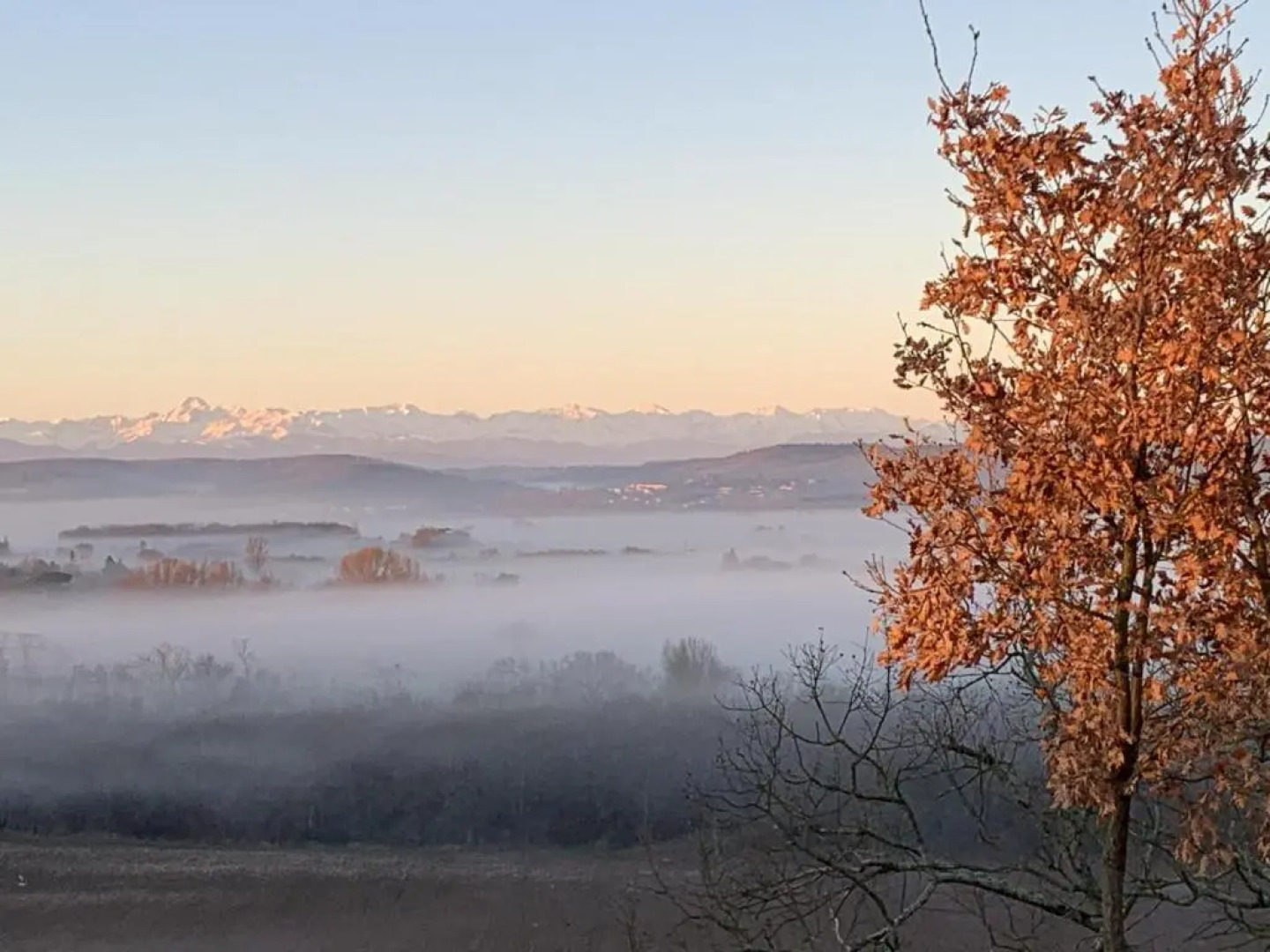 Domaine de Quintalone