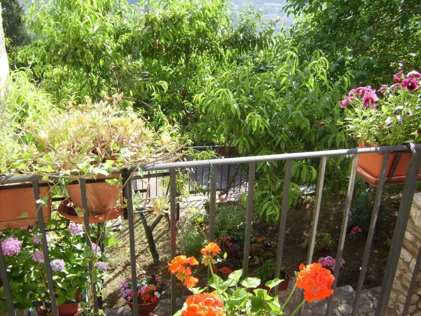 Il Castello sul Lago