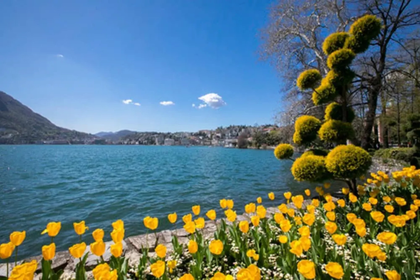 Central Lugano Apartment