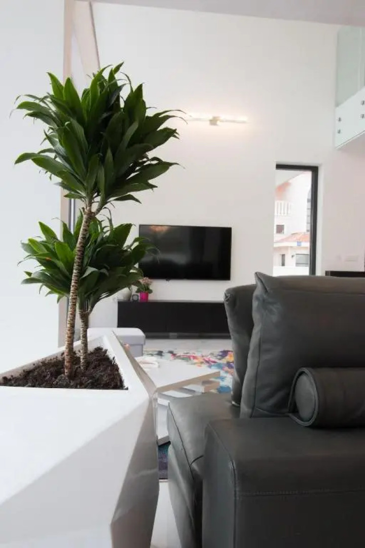 Villa Barako Prestige - 4 Bedroom Villa - Very Modern Interior - WiFi and Air Conditioning