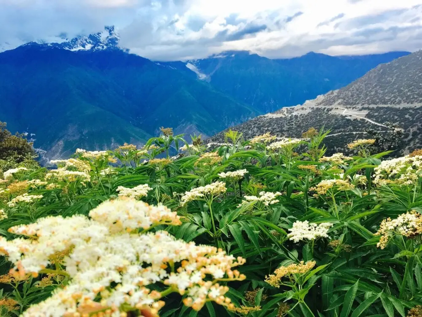 Meri Snow Mountain Travellingwithhotel