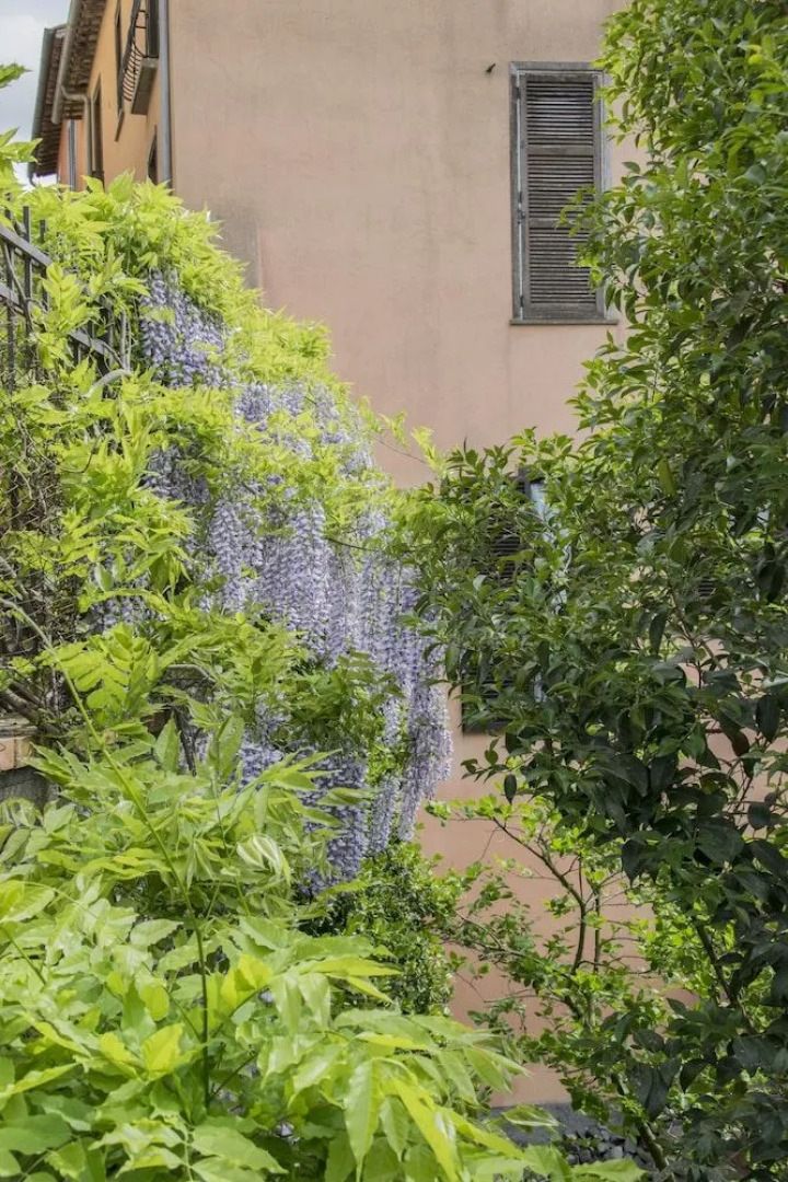 B&B Le buche Casa storica