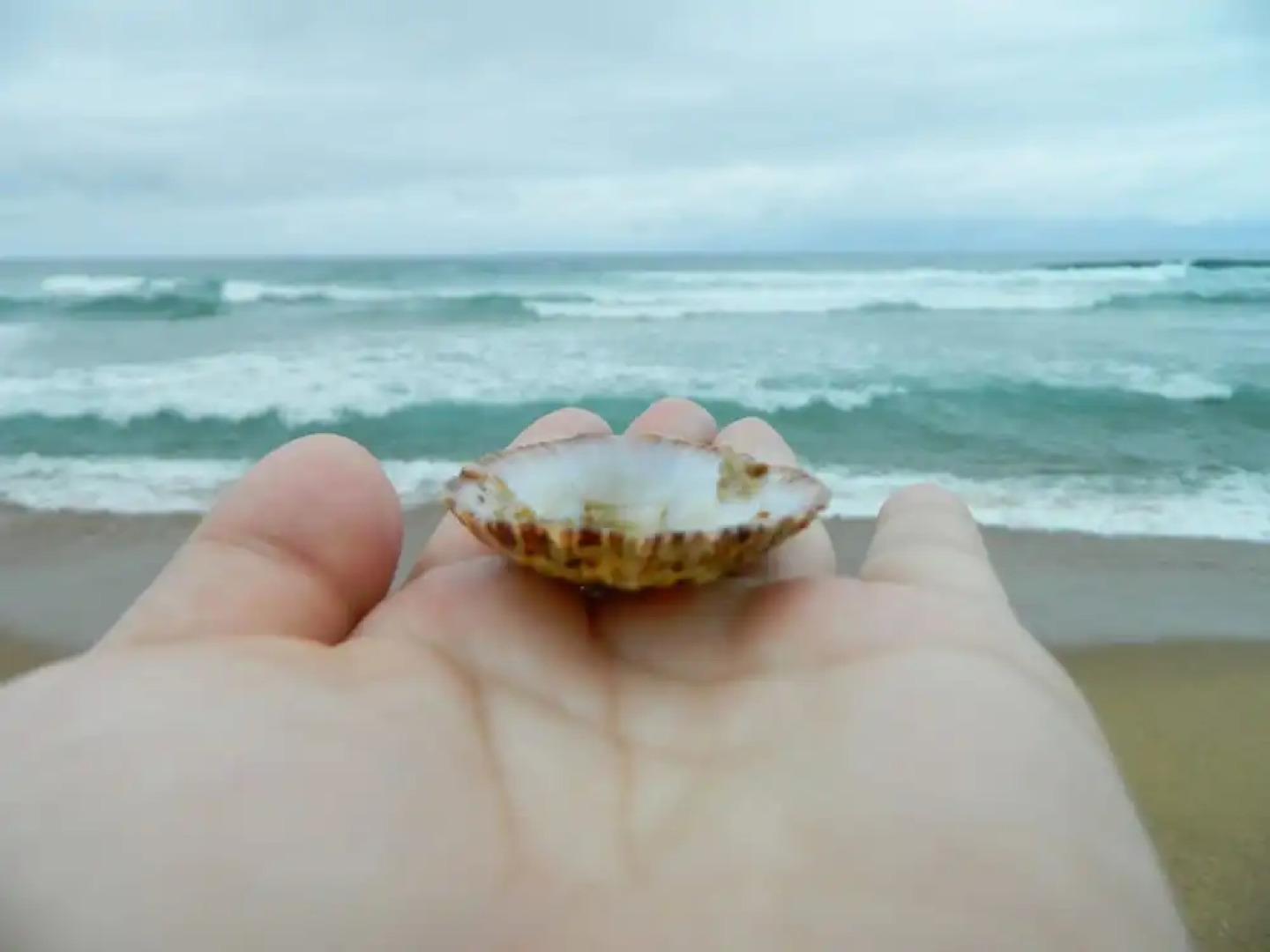 Al Marrakesh Guest House