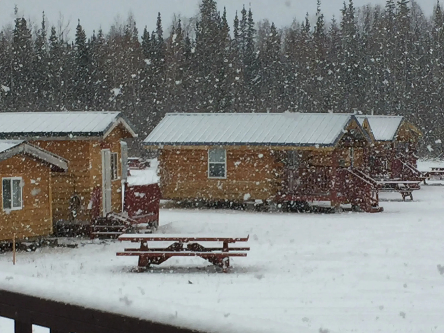 Alaska log cabins on the pond B & B