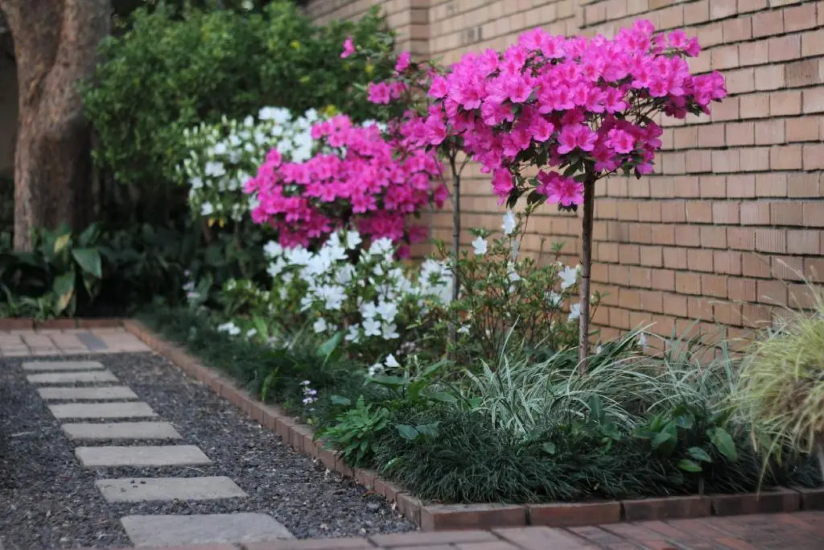 Del Roza Guest House