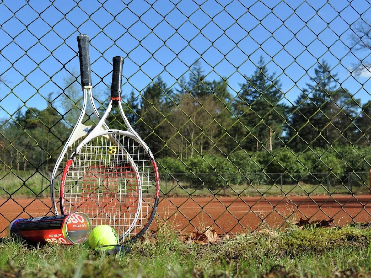 Stunning Holiday Home in Leende Near Forest