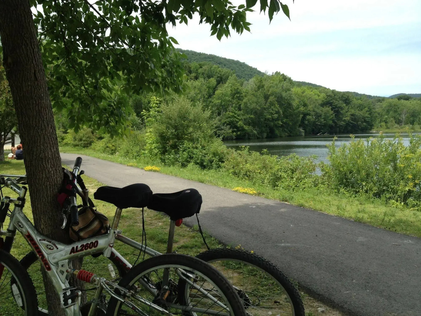 The Trail in Adams - Berkshires’ Art Hotel