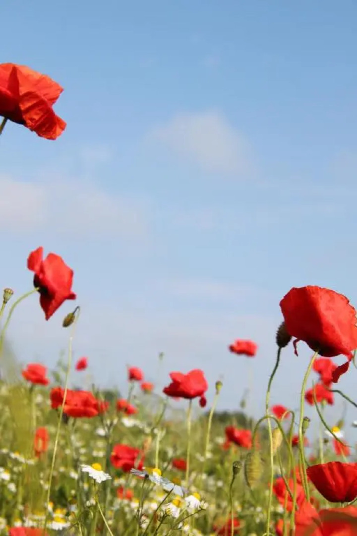 Ruhige Ferienwohnung in Niepars