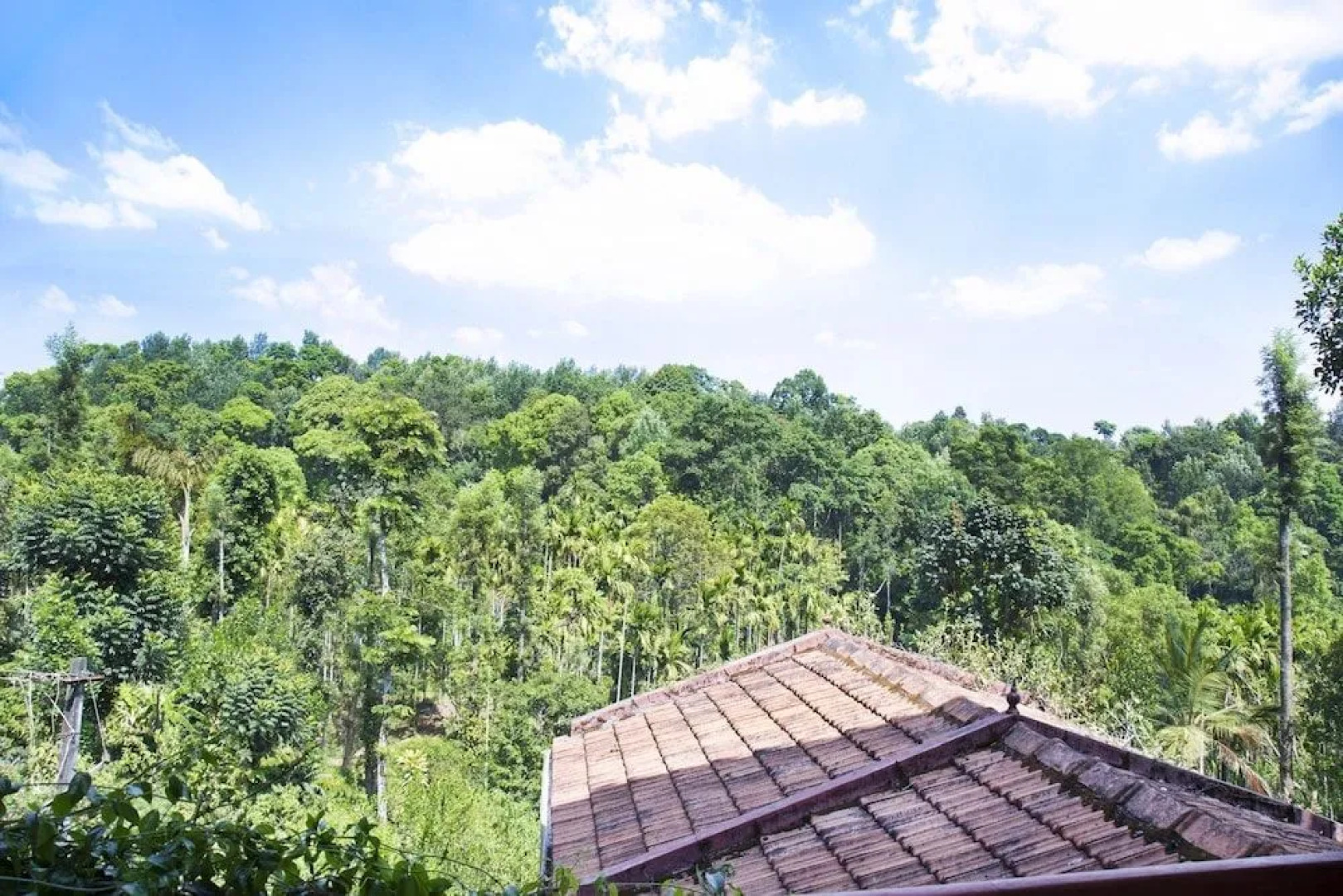 GuestHouser 1 BR Bed & Breakfast