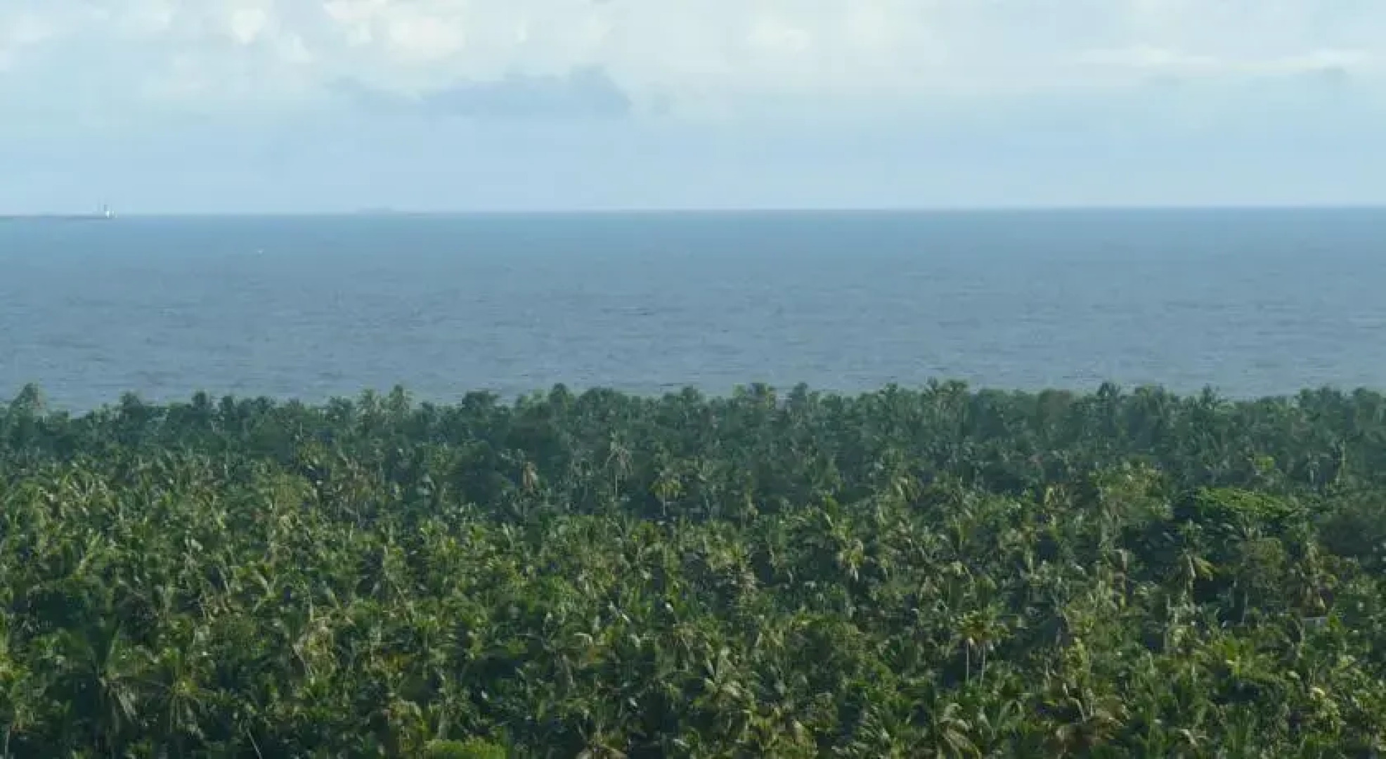 Ayurveda Healing Ashram