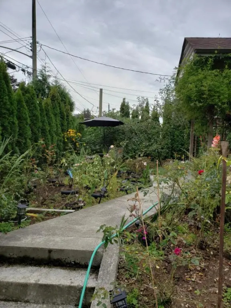 Surrey chic 2 bdrm basement unit