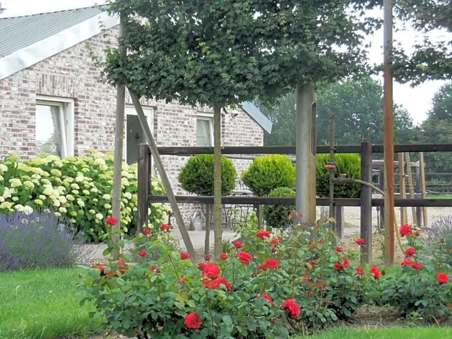 B & B " De 7 Sprong "