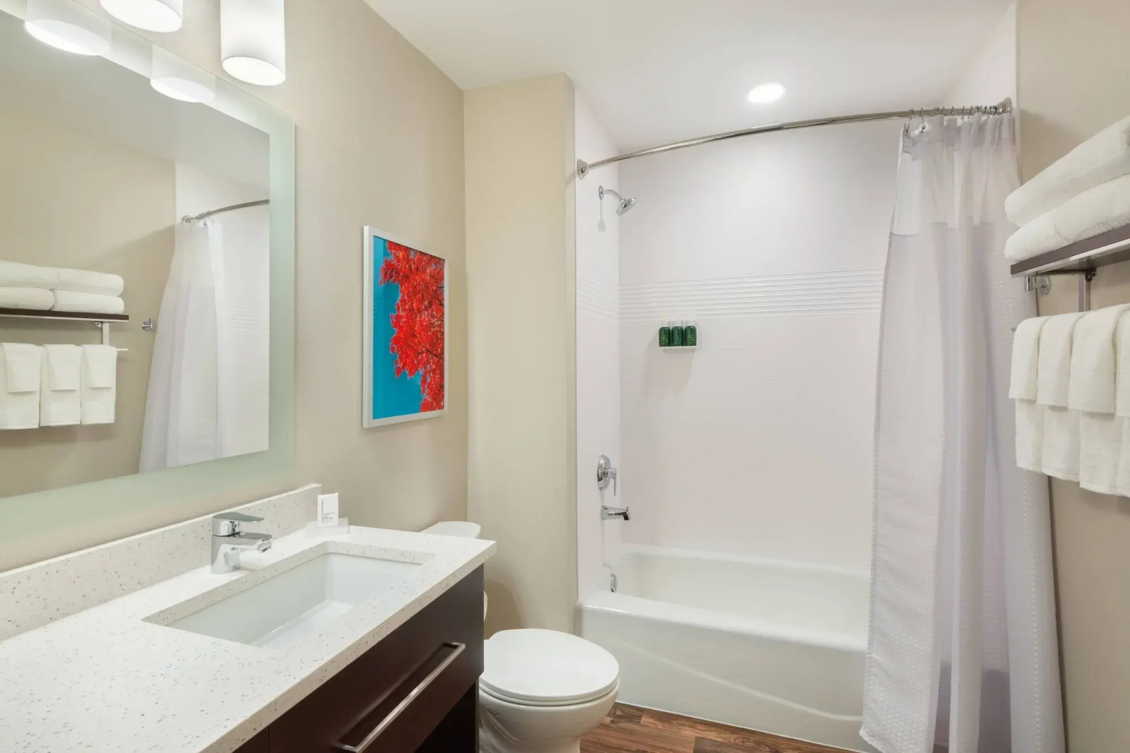 TownePlace Suites by Marriott Atlanta Lawrenceville