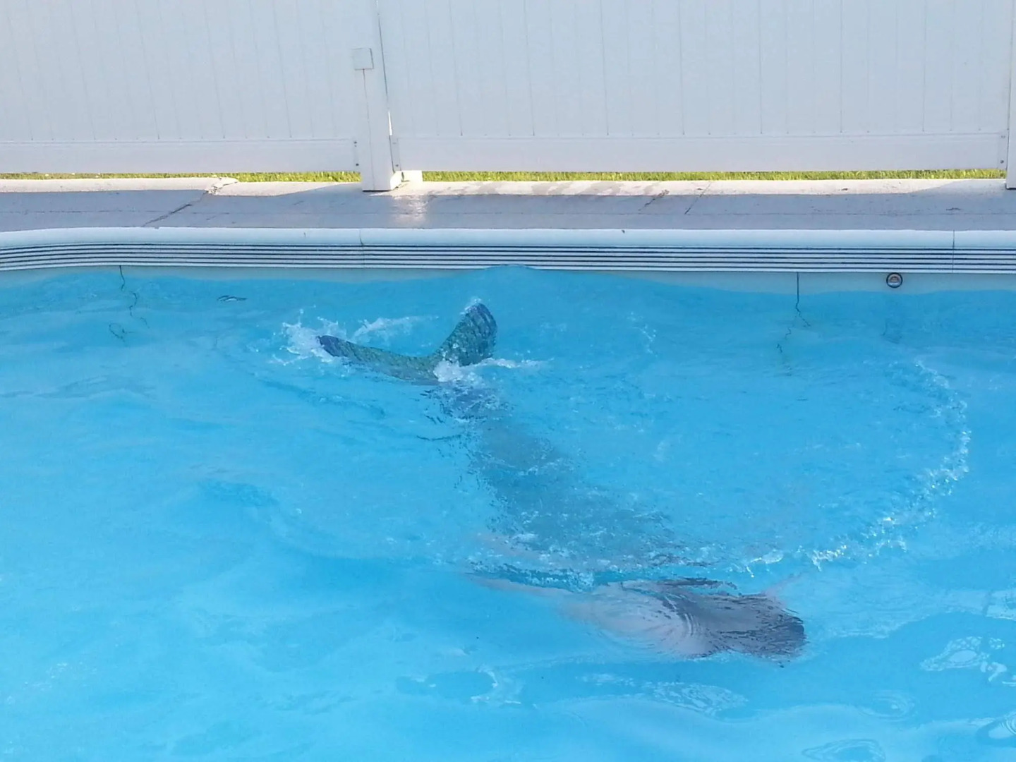 MacKenzie's Motel & Cottages