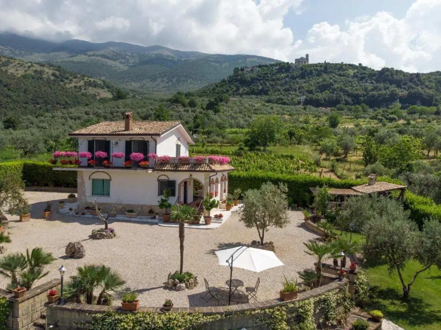 La Vigna della Corte