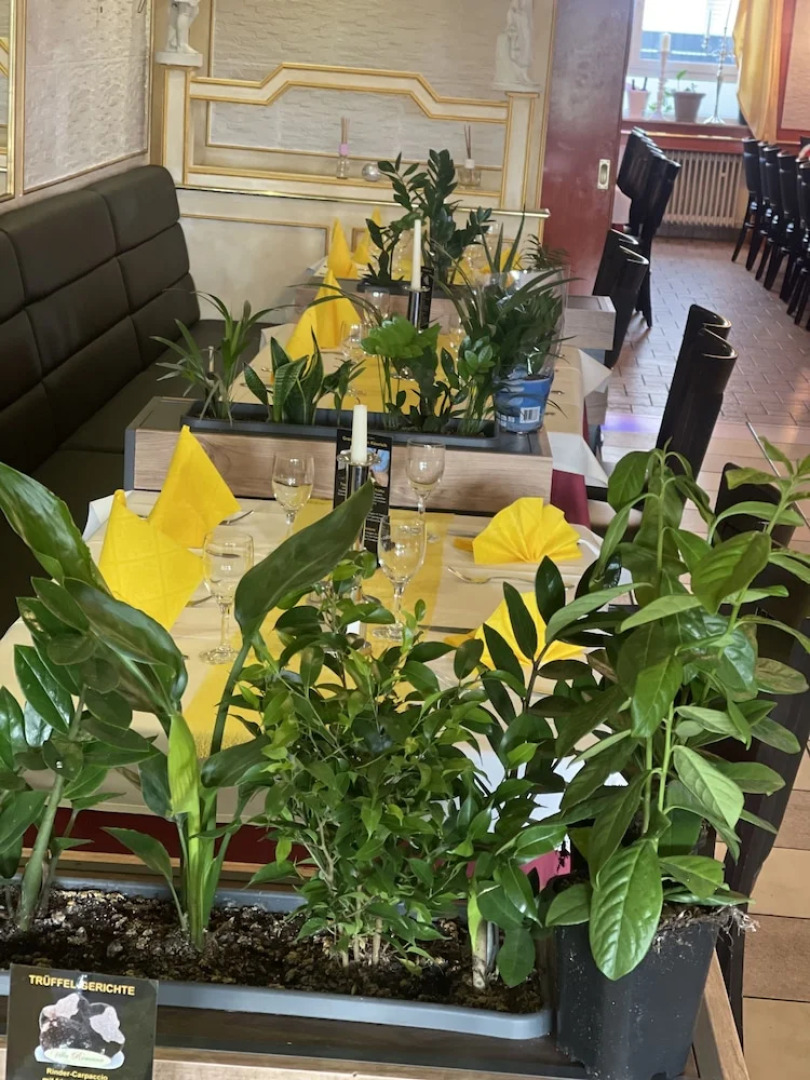 Hotel Restaurant Villa Romana