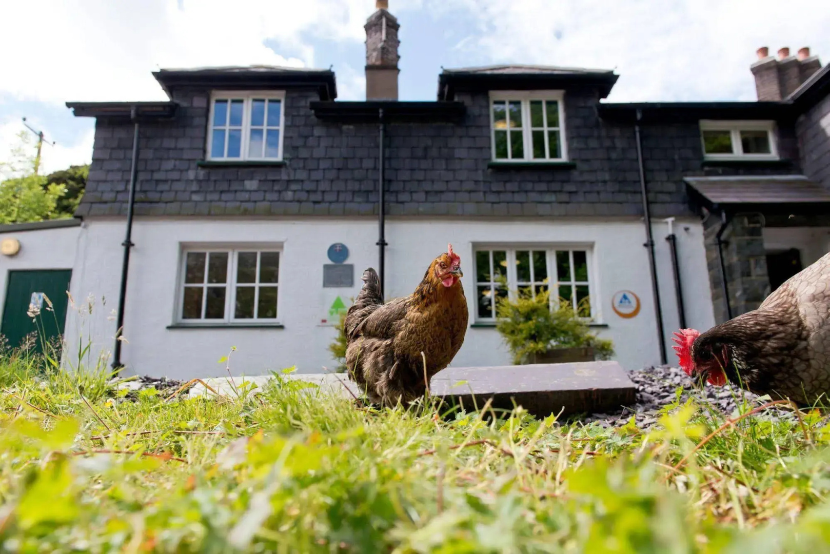 YHA Idwal Cottage