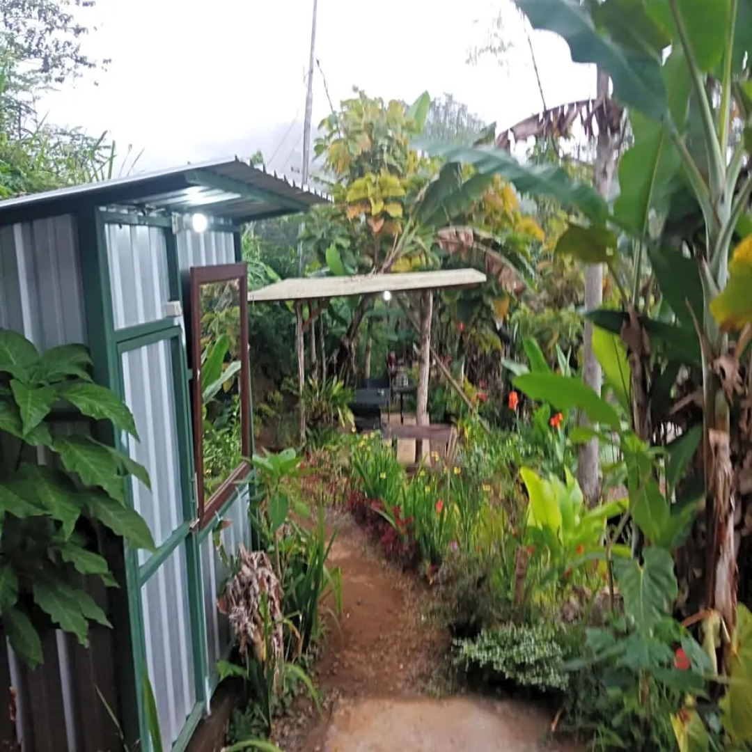 ECO Bedugul adventurer camp