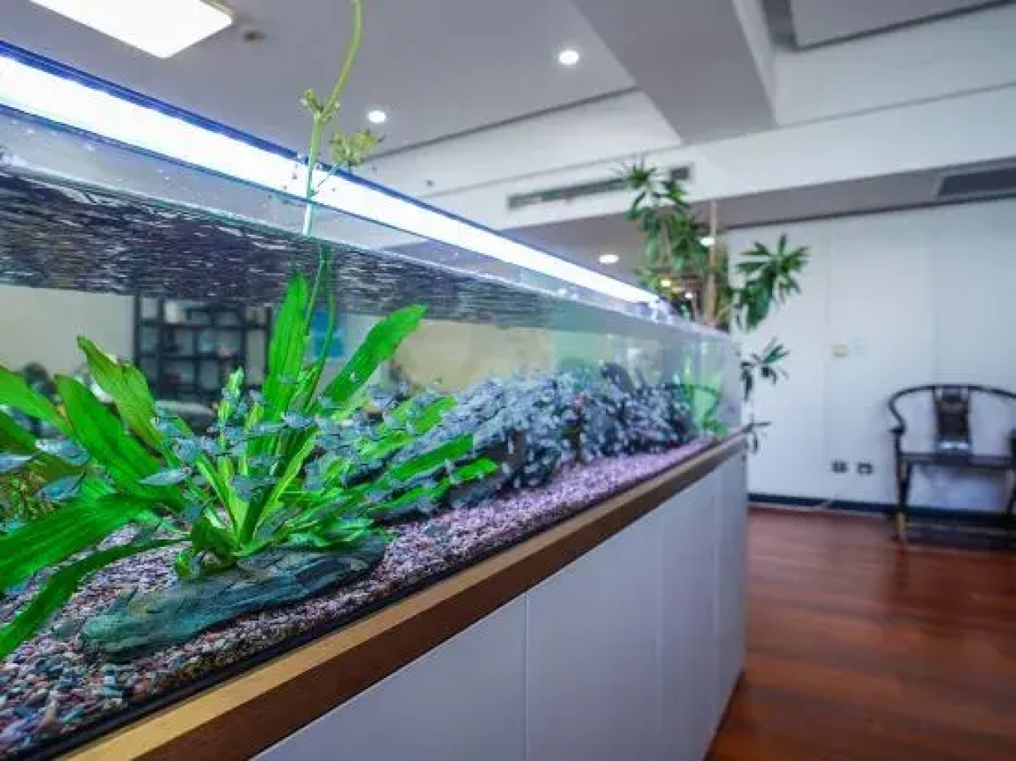 Fortune Blue Bay Hotel (Caofeidian Free Trade Zone Municipal Building)