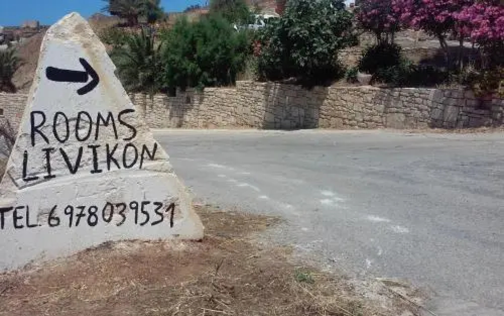 Livikon