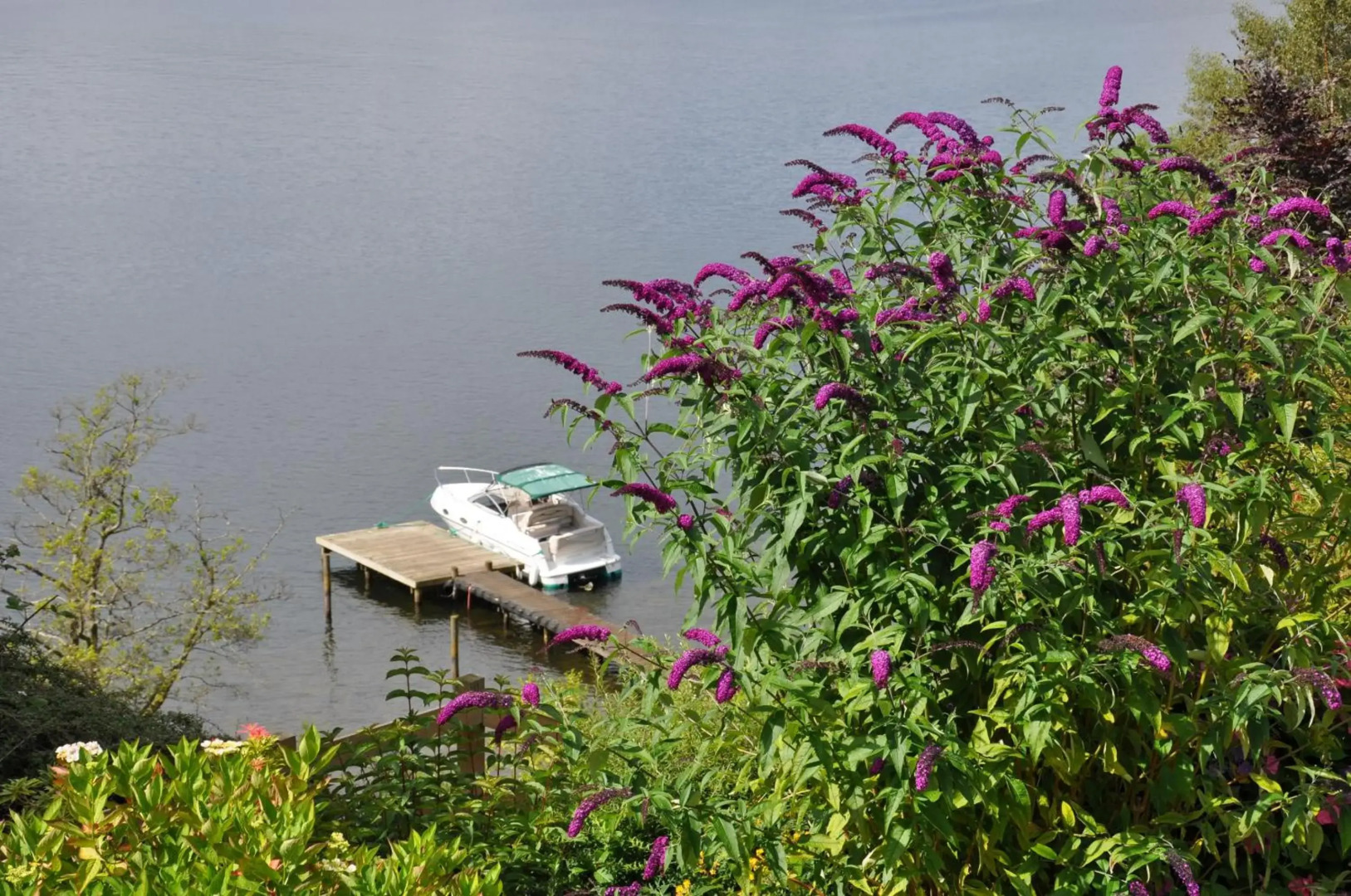 Beech Hill Hotel & Spa