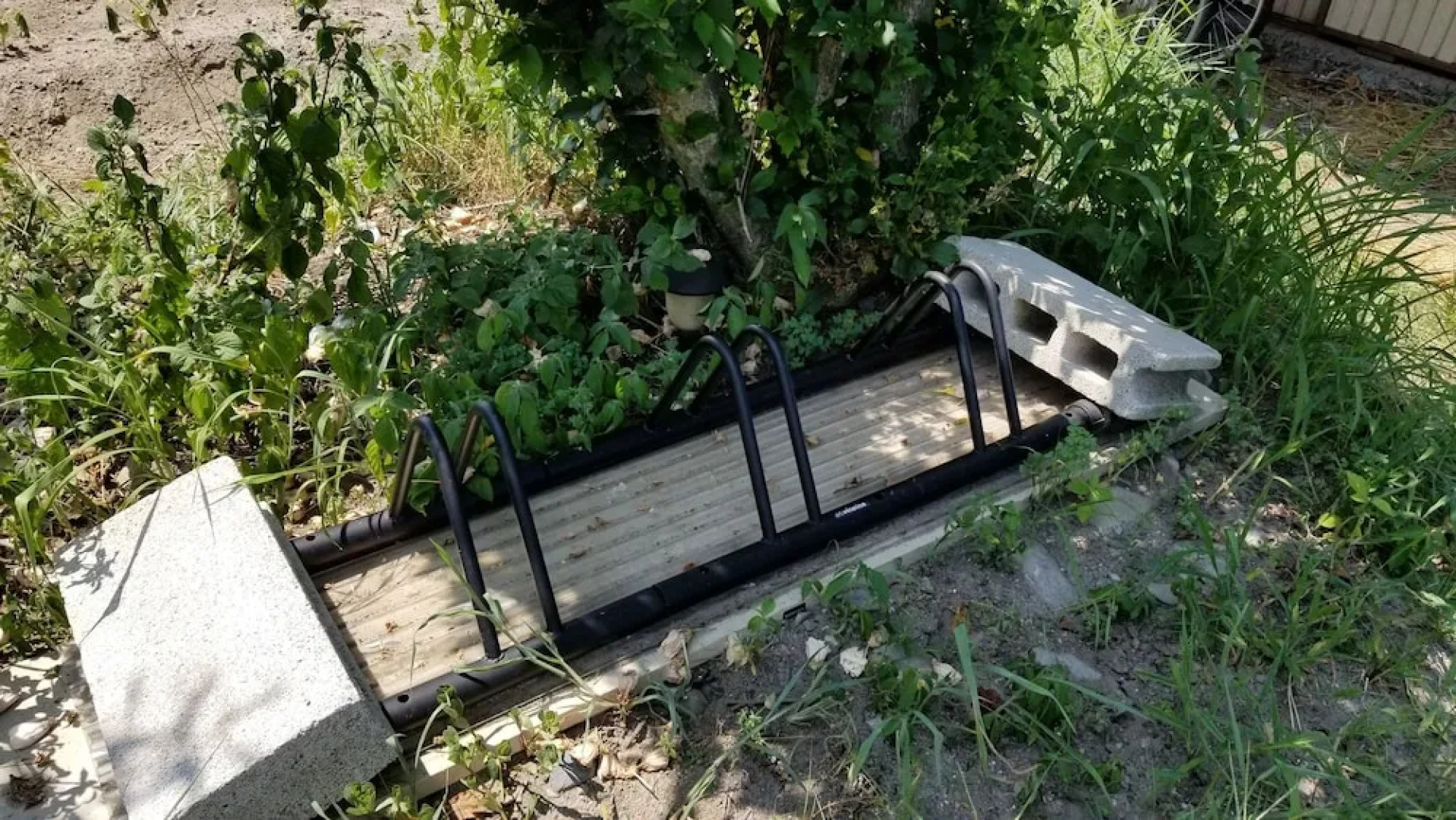 Shino's Farm Inn Azumino