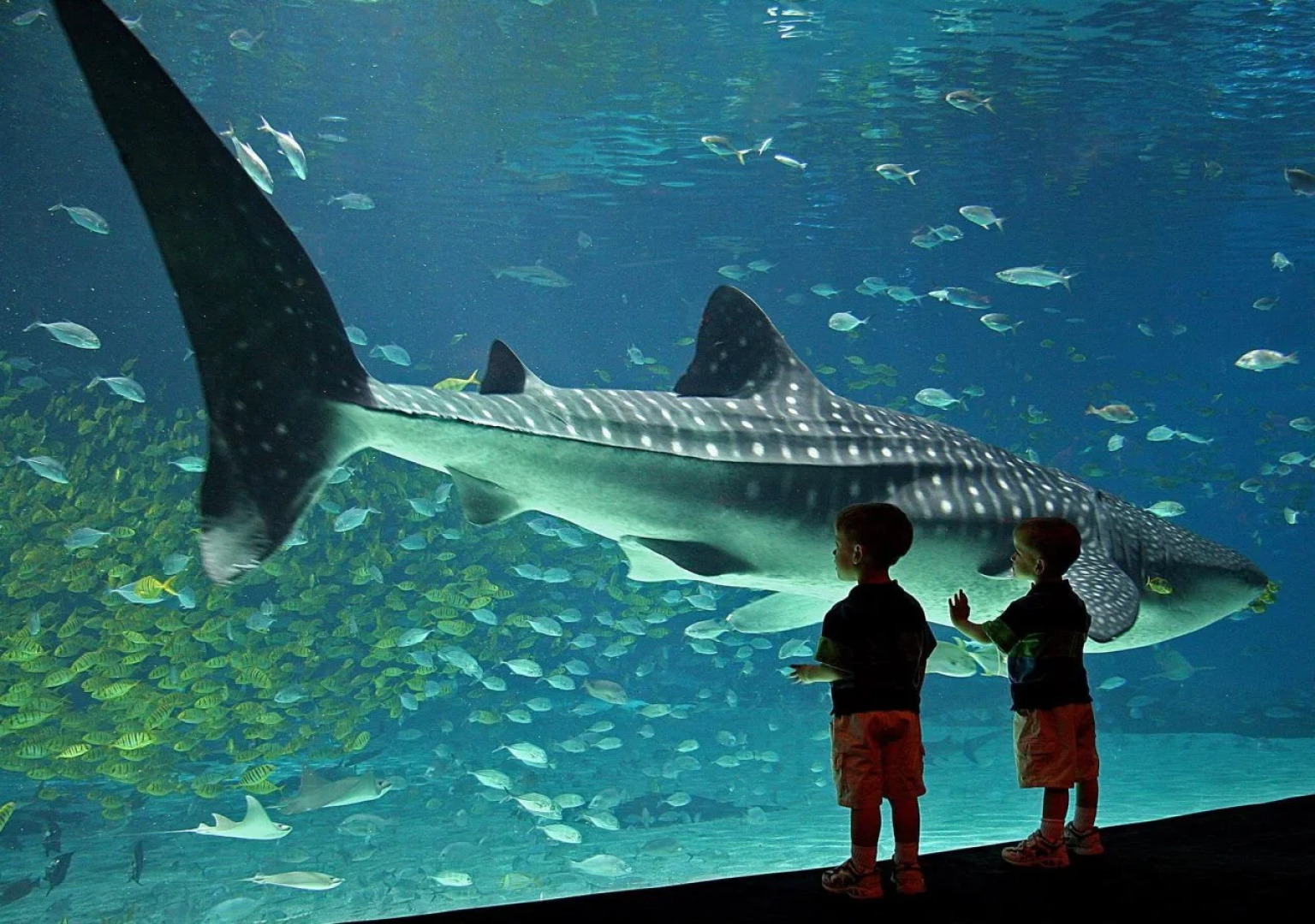 Hilton Atlanta Airport