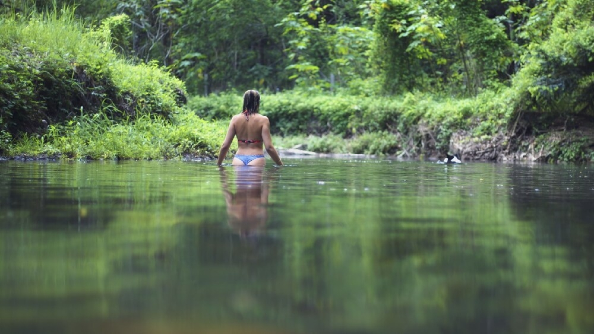 Kanimbia Luxury Glamping