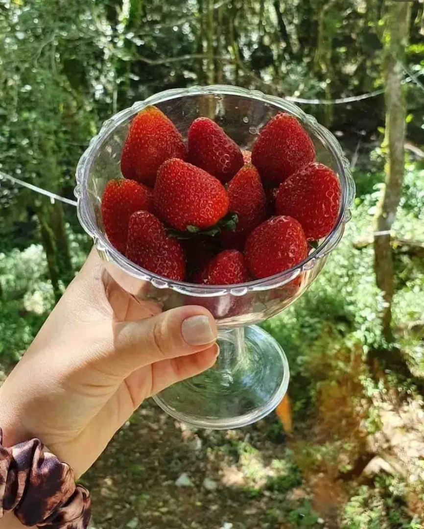 Pousada Butique L'esperienza - Ecoturismo