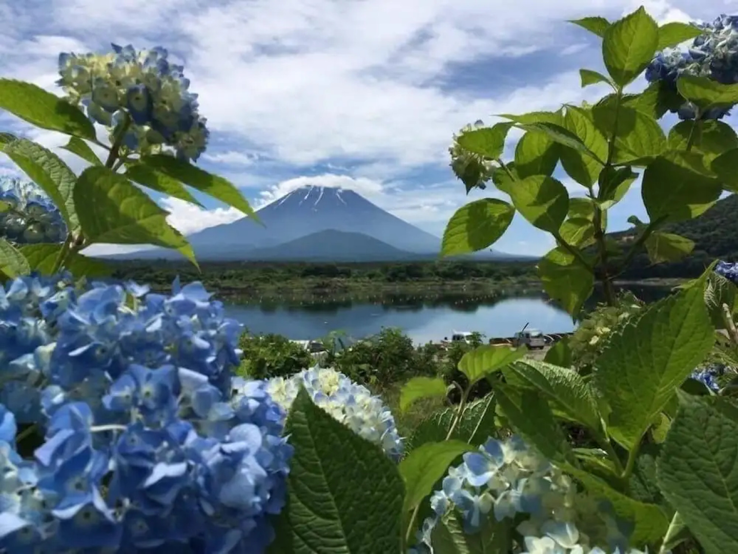 Shoji Mount Hotel