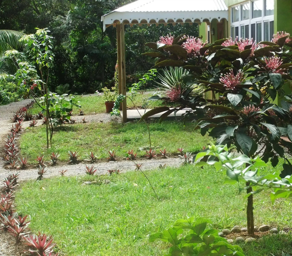 Serenity Lodges Dominica