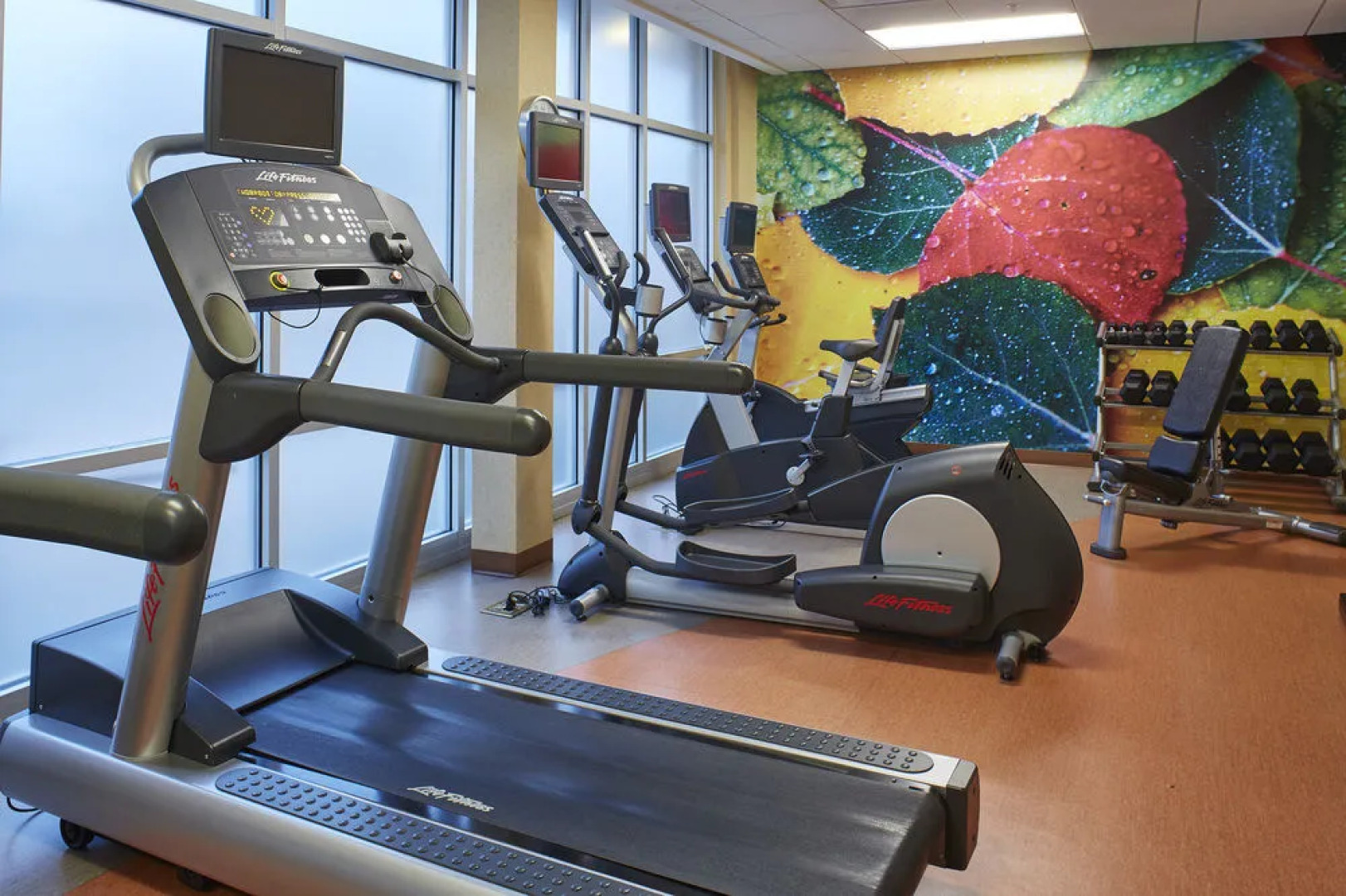 SpringHill Suites Denver at Anschutz Medical Campus