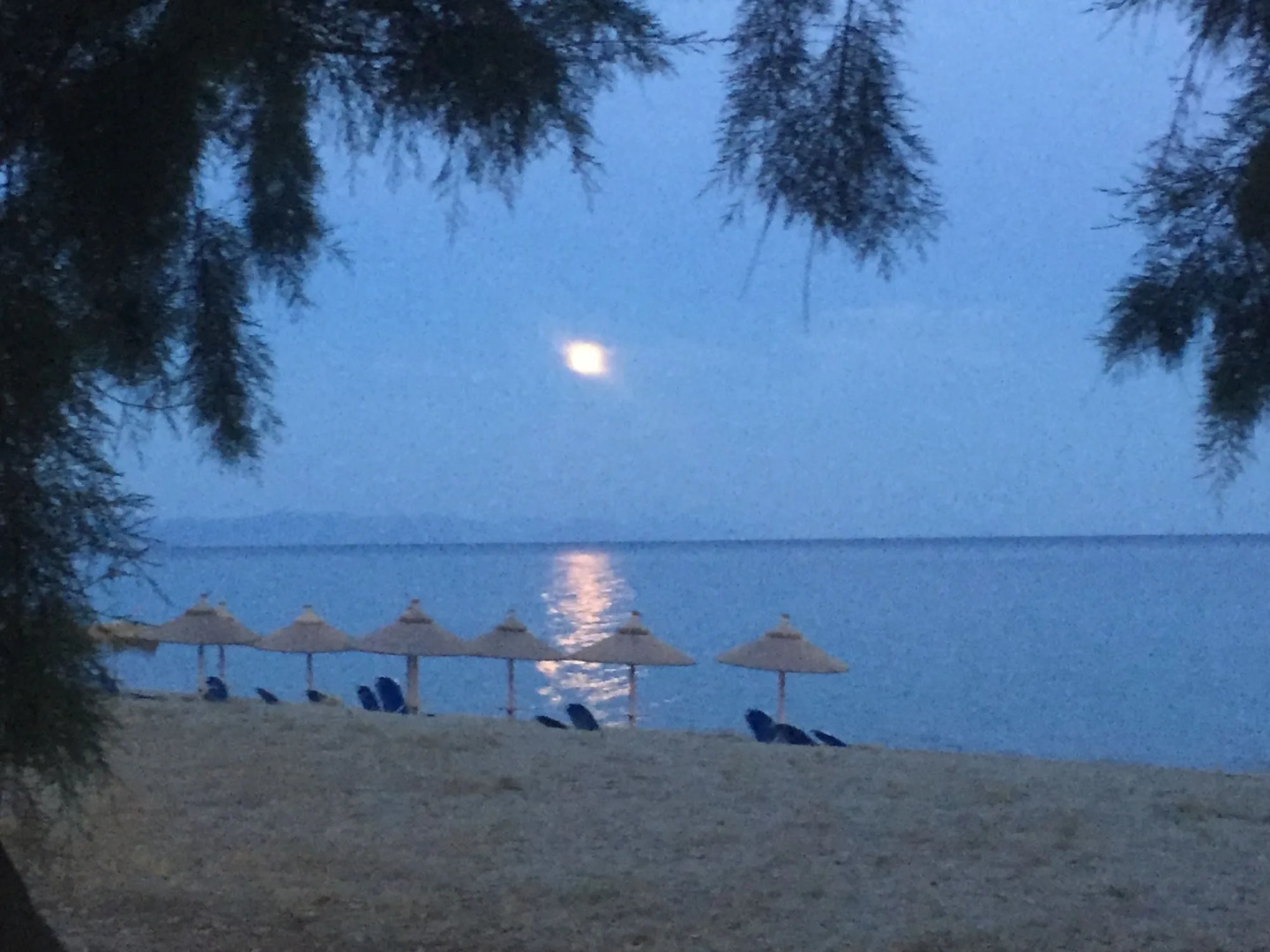 Diamond Palace Apartments