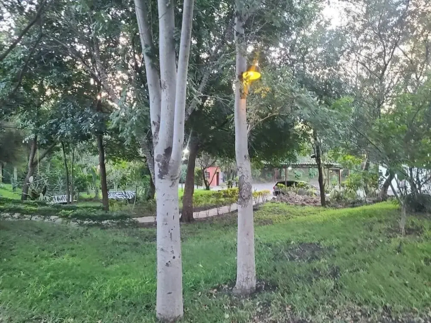 Adrenaline Lodge and Tours