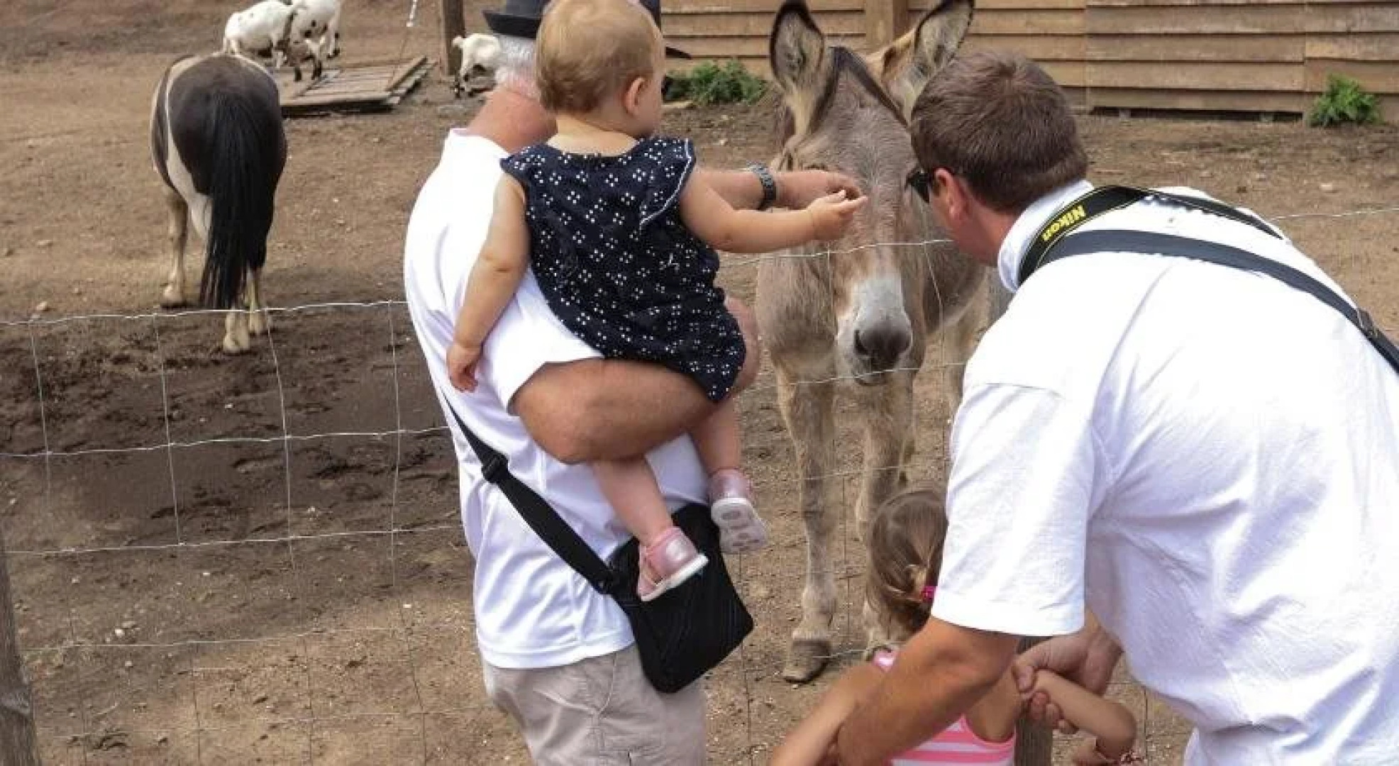 Les chambres de la Distillerie