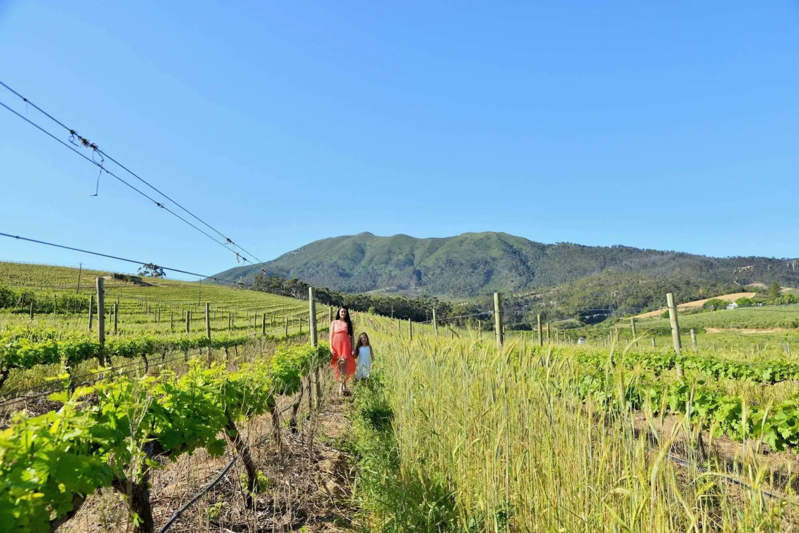 The Coach House at Val du Charron