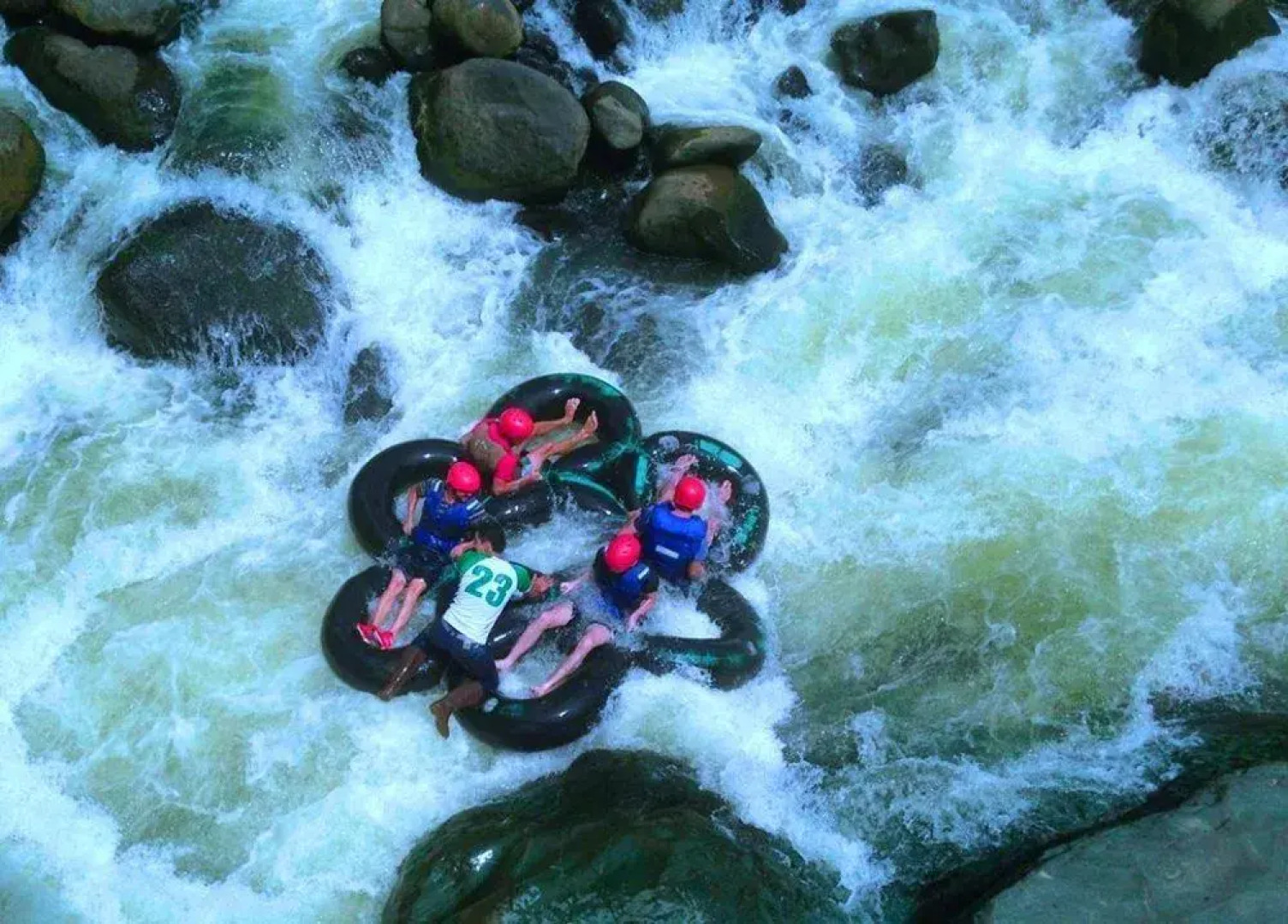 Jardin de los Pajaros