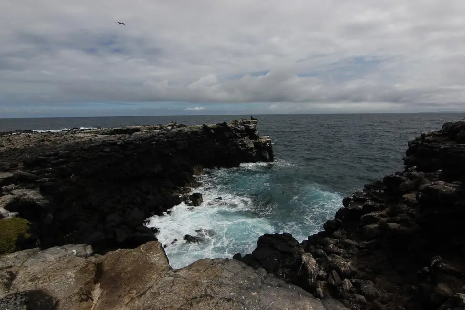 Lava Lizard Guesthouse