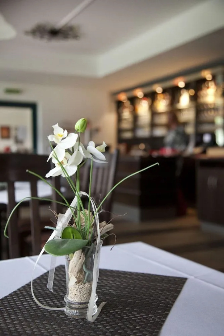 City-Hotel Friesoythe