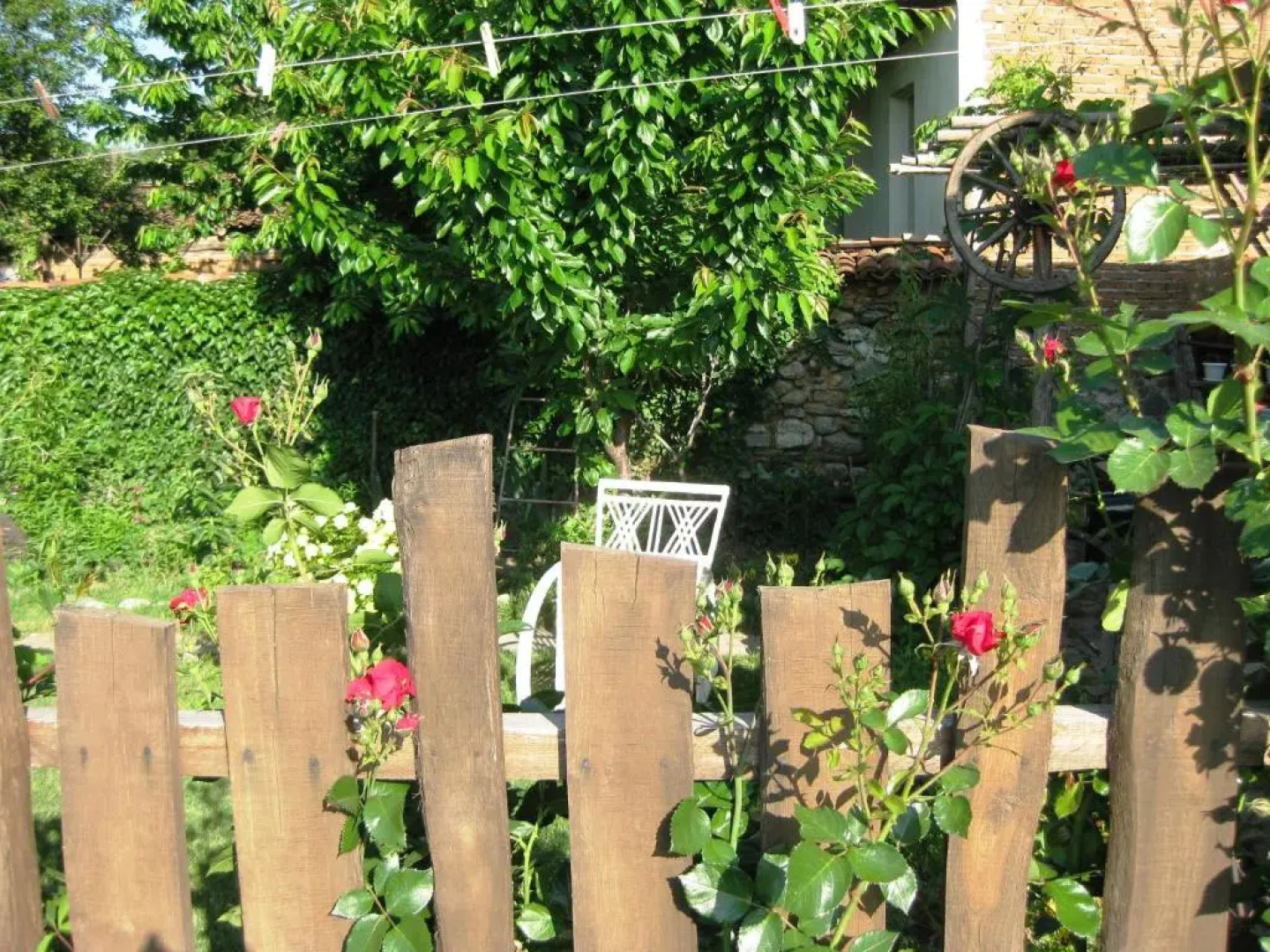 Chardaka Guest House